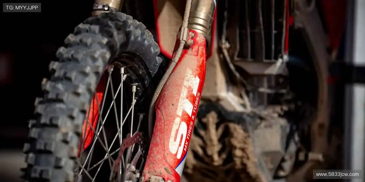 🎯 从装备到潮流,体育周边商城,做你的运动全能搭档!